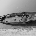 DSC08138 BW