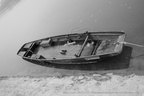 DSC08138 BW