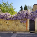 DSC08790