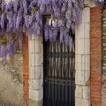 DSC08791