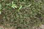 DSC00794