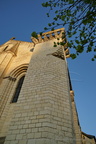 DSC00833
