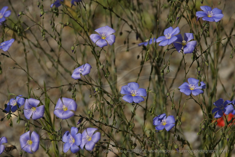 DSC09038.JPG