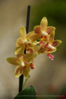 DSC09669