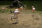 DSC00421
