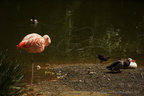 DSC09260