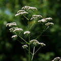 DSC00804