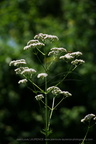 DSC00804