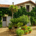 DSC00874