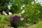 DSC01005