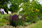 DSC01006