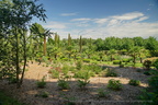 DSC01236