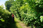 DSC01239