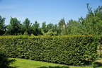 DSC01240