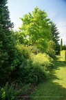 DSC01241