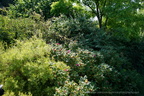 DSC01242