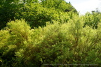 DSC01244