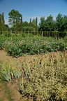 DSC01249