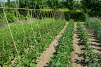 DSC01251