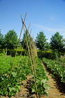 DSC01252