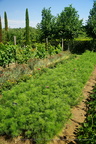 DSC01254