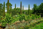 DSC01255
