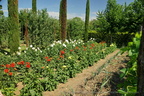 DSC01257