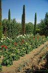 DSC01258