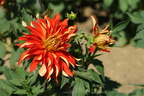DSC01259