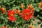 DSC01260