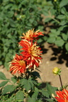 DSC01261