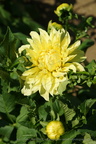 DSC01262