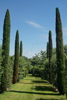 DSC01264