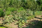 DSC01266