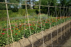 DSC01270