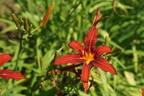 DSC01275