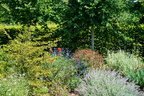 DSC01278