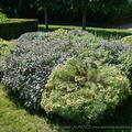 DSC01288