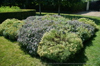 DSC01288