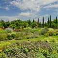 DSC01291