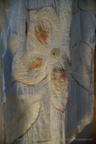 DSC02074
