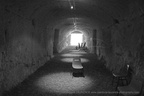  DSC8955 BW