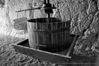  DSC8961 BW