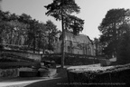  DSC8998 BW