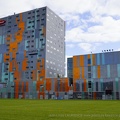  DSC1166