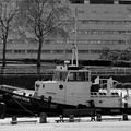  DSC1194 BW