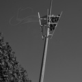  DSC1197 BW