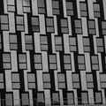  DSC0223 BW