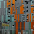  DSC0228