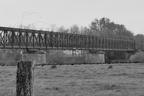  DSC2219 BW